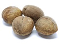 Red Hickory nuts