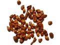 Eastern Redcedar seeds