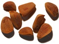 Korean Pine nuts