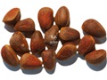 Siberian Pine nuts