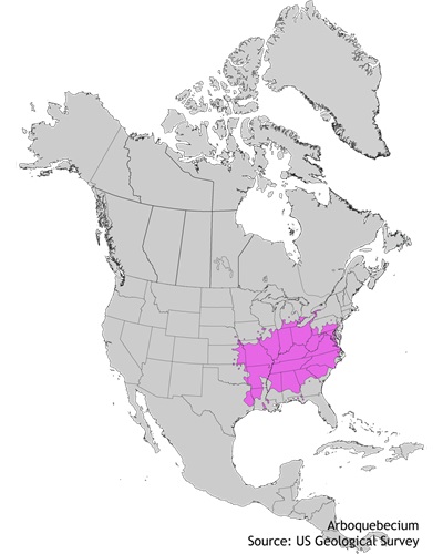 Pawpaw distribution
