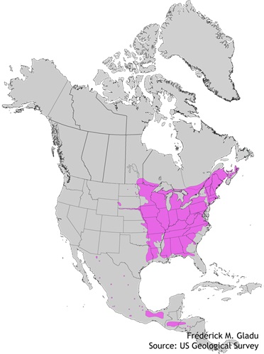 Aire de répartition naturelle de l'ostryer de Virginie