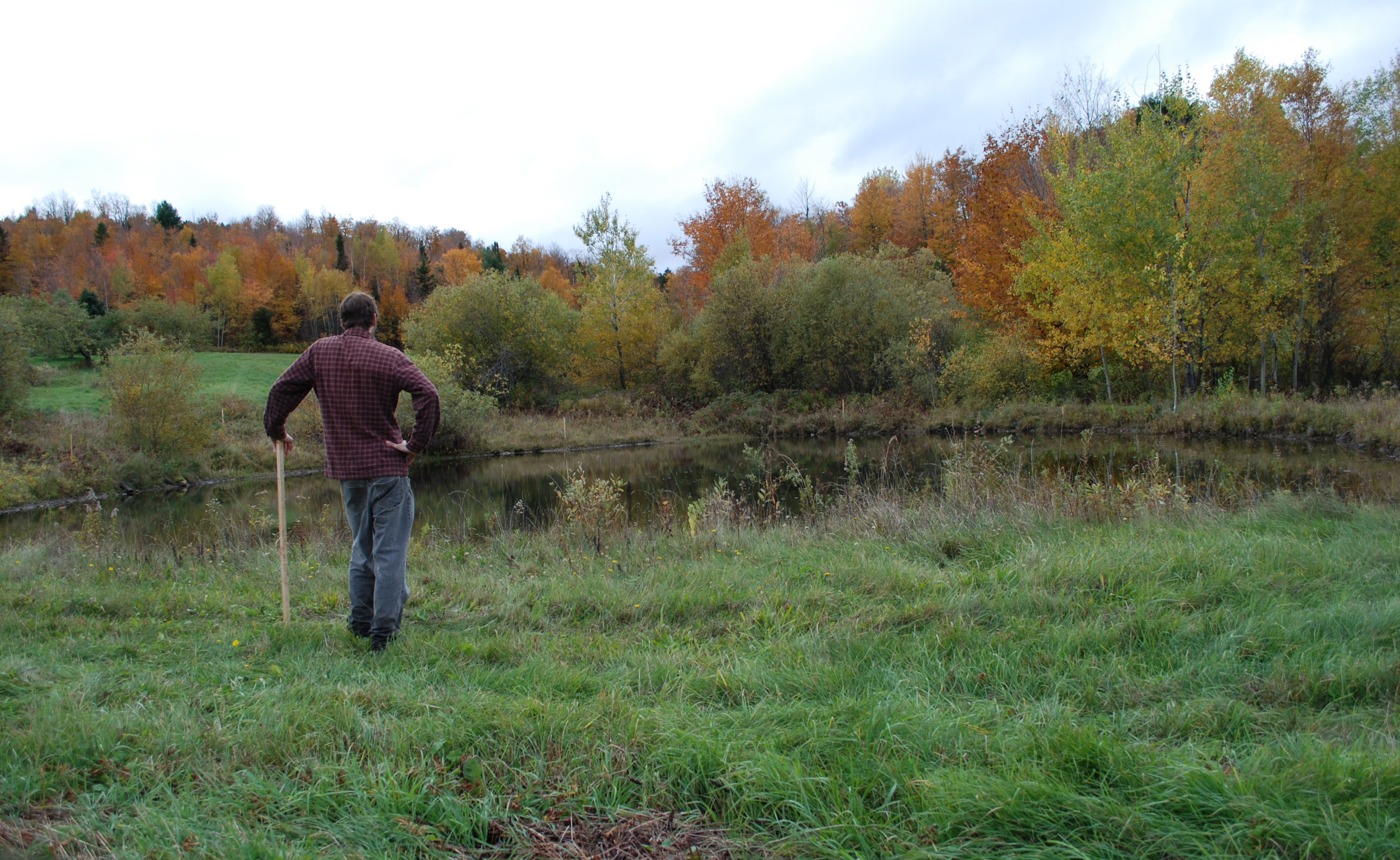 Site initial