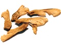 Striped Maple samaras
