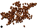 Hardy Kiwi seeds