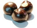 American Buckeye seeds