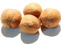 Bitternut Hickory pyrenes