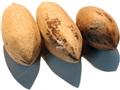 Pecan pyrenes