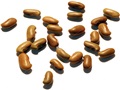 Yellow-Wood seeds