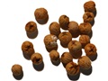 Alternate-leaf Dogwood pyrenes
