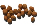 Silky Dogwood pyrenes