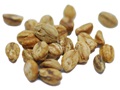 Thornless Cockspur Hawthorn seeds