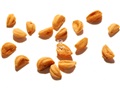 Downy Hawthorn seeds