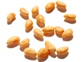 American Wahoo seeds