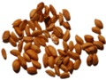 Common Winterberry seeds