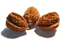 'Ives' walnuts