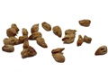 Common Juniper seeds