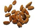 Osage-orange seeds