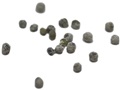 Northern Bayberry pyrenes