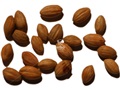 Black-Gum seeds