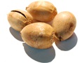 Noix (glands) de chêne à gros fruits
