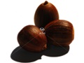Black Oak acorns