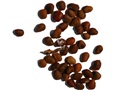 Graines de sumac vinaigrier
