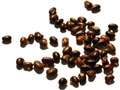 Bristly Locust seeds