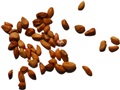 Woods' Rose seeds