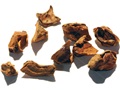 Bald-Cypress chaffs containing seeds