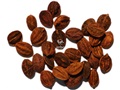 Maple-leaf Viburnum seeds