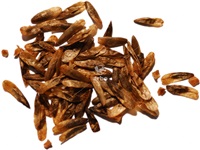 liquidambar_styraciflua_graines