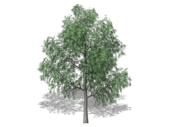 Representation of the Hican