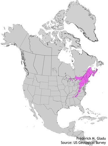 Aire de répartition naturelle de l'érable de Pennsylvanie