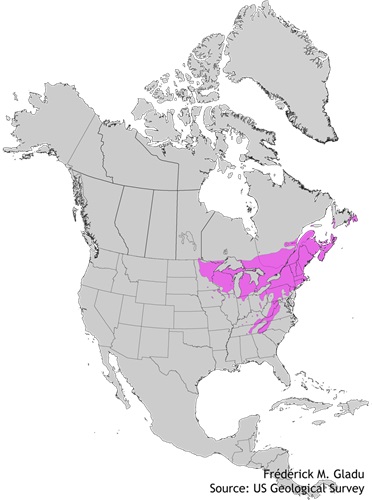 Aire de répartition naturelle du bouleau jaune