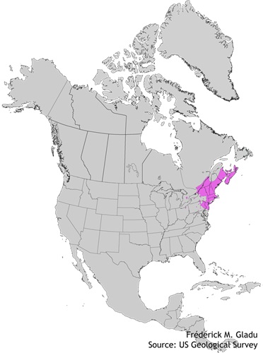 Aire de répartition naturelle du bouleau gris