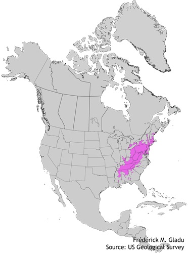 Aire de répartition naturelle du châtaignier d'Amérique