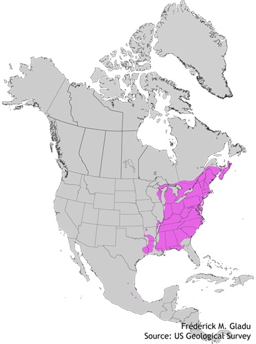 Aire de répartition naturelle du hêtre à grandes feuilles
