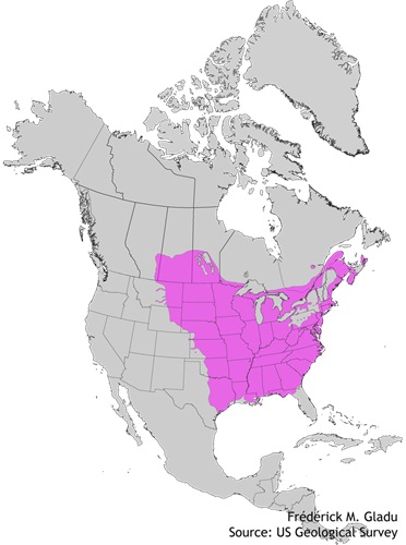 Aire de répartition naturelle du frêne rouge