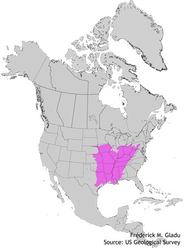 Aire de répartition naturelle du févier épineux
