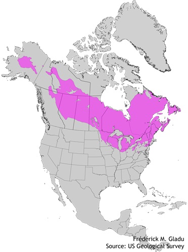 Aire de répartition naturelle du mélèze laricin