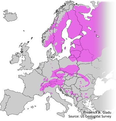 Aire de répartition naturelle de l'épinette de Norvège