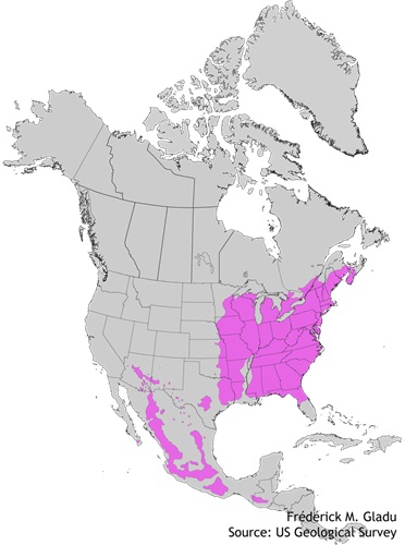 Aire de répartition naturelle du cerisier tardif