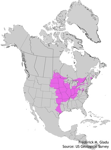 Aire de répartition naturelle du chêne à gros fruits