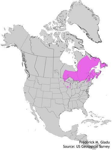 Aire de répartition naturelle du sorbier décoratif