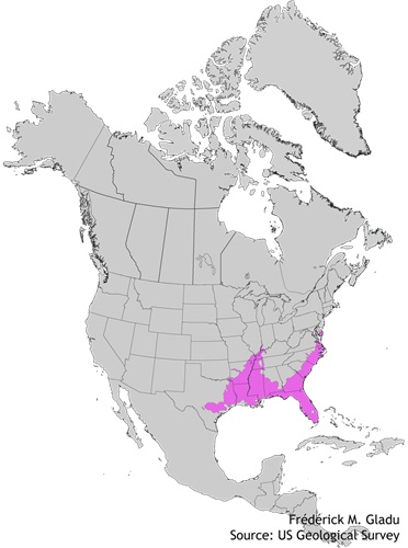 Aire de répartition naturelle du cyprès chauve
