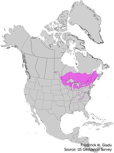 Aire de répartition naturelle du thuya occidental