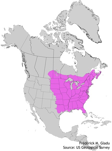 Aire de répartition naturelle de l'orme d'Amérique