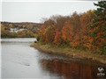 La forêt du Collège Champlain borde la rivière Saint-François