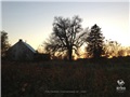 frene_blanc_deschambault_2016_002
